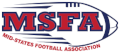 MSFA