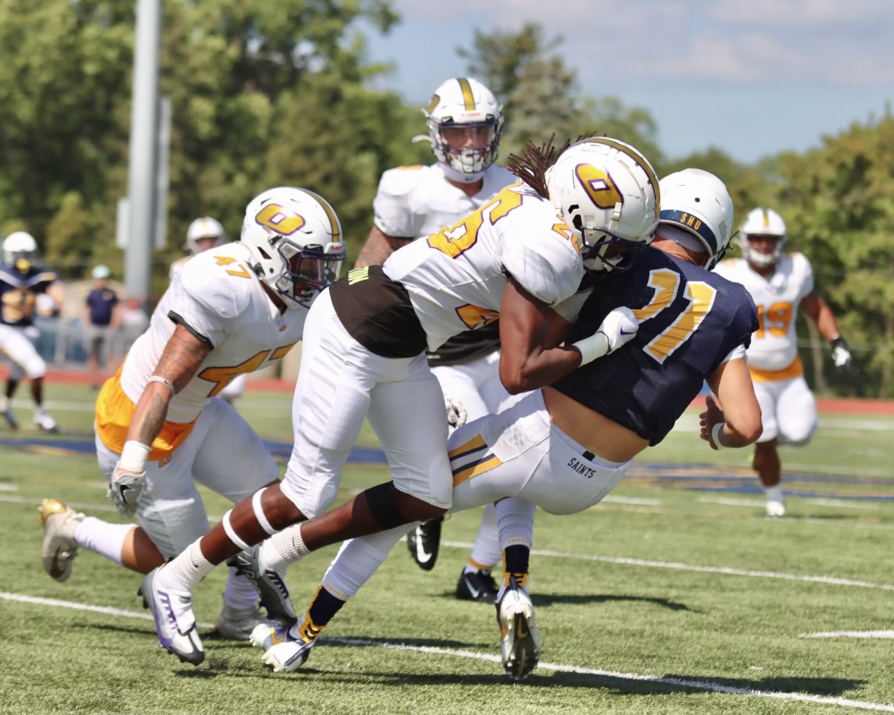 TIGERS FALL TO SIENA HEIGHTS IN SEASON OPENER