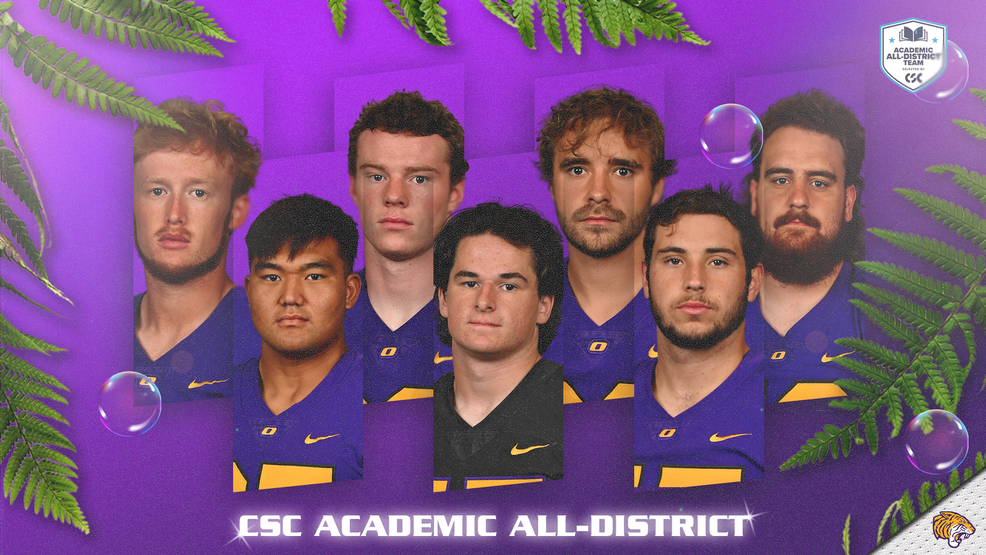 SEVEN TIGERS NAMED TO CSC ACADEMIC ALL-DISTRICT TEAM