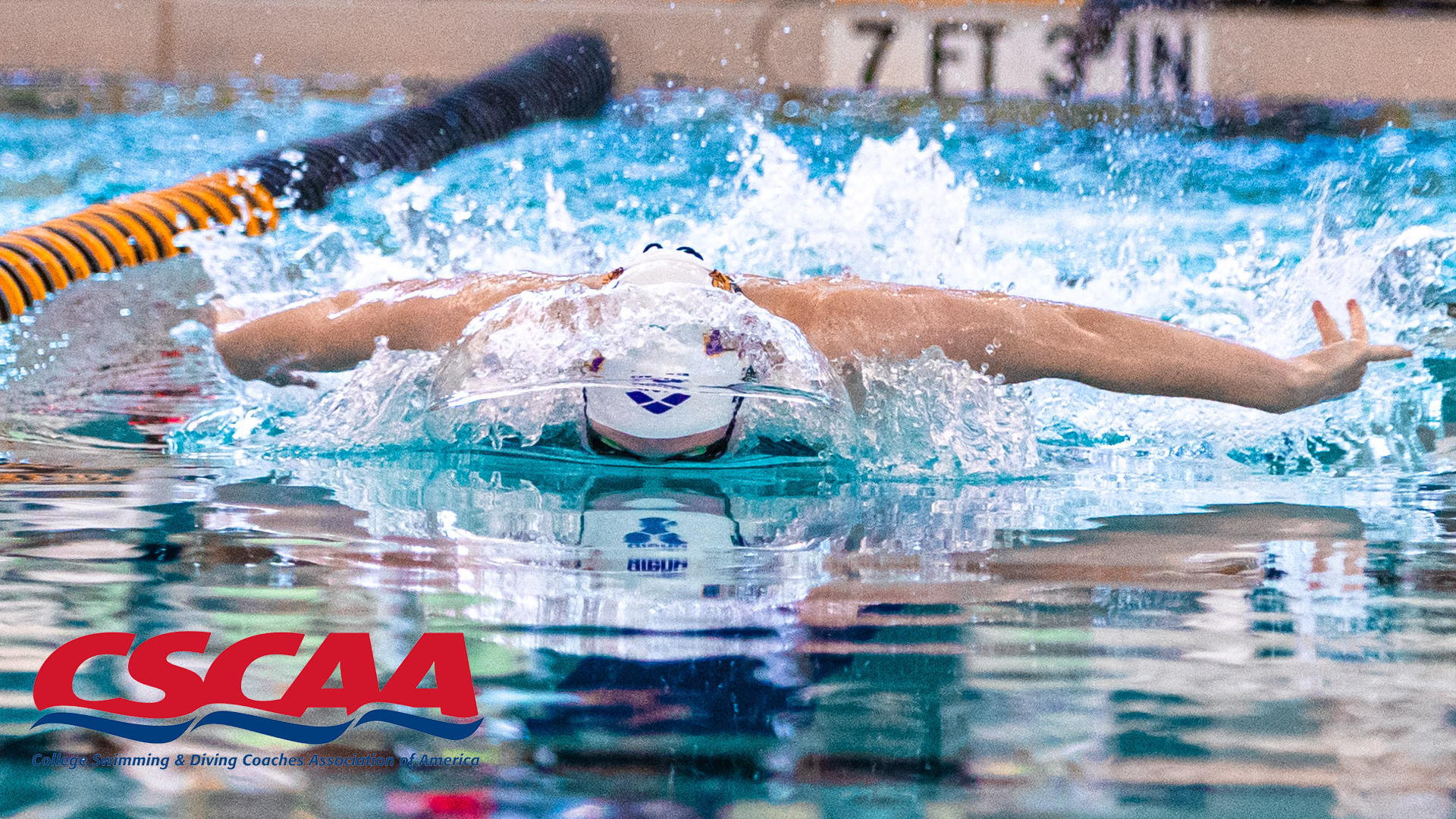 ONU NAMED CSCAA ACADEMIC ALL-AMERICA TEAM