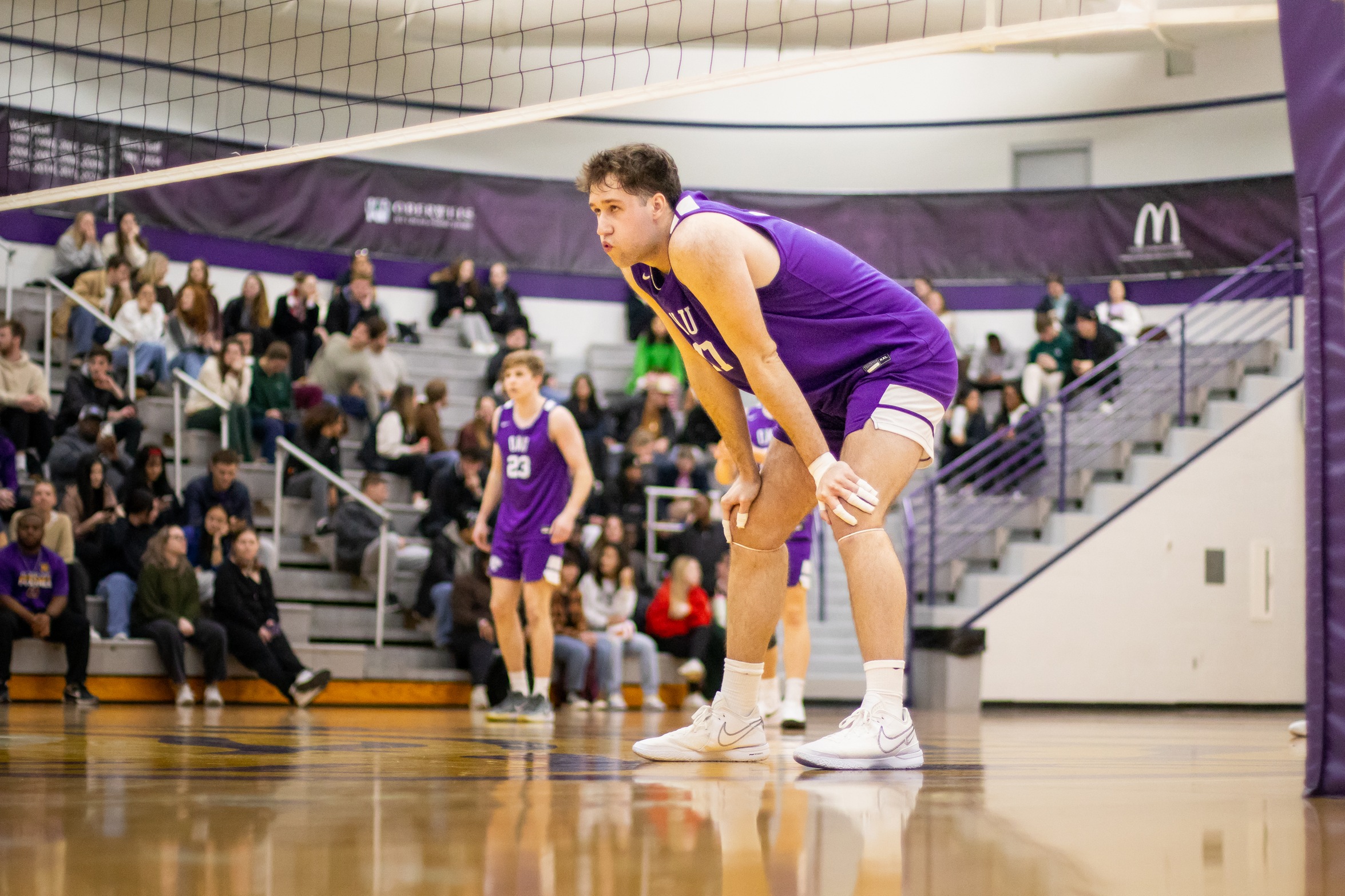 Picture Credit: Camden Koester