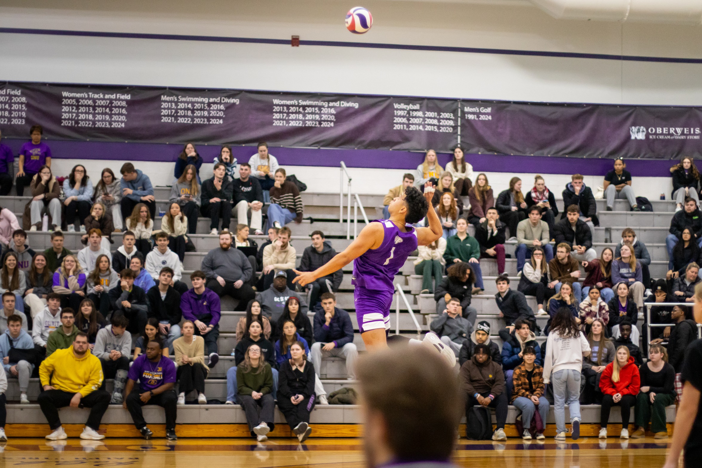 Picture Credit: Camden Koester
