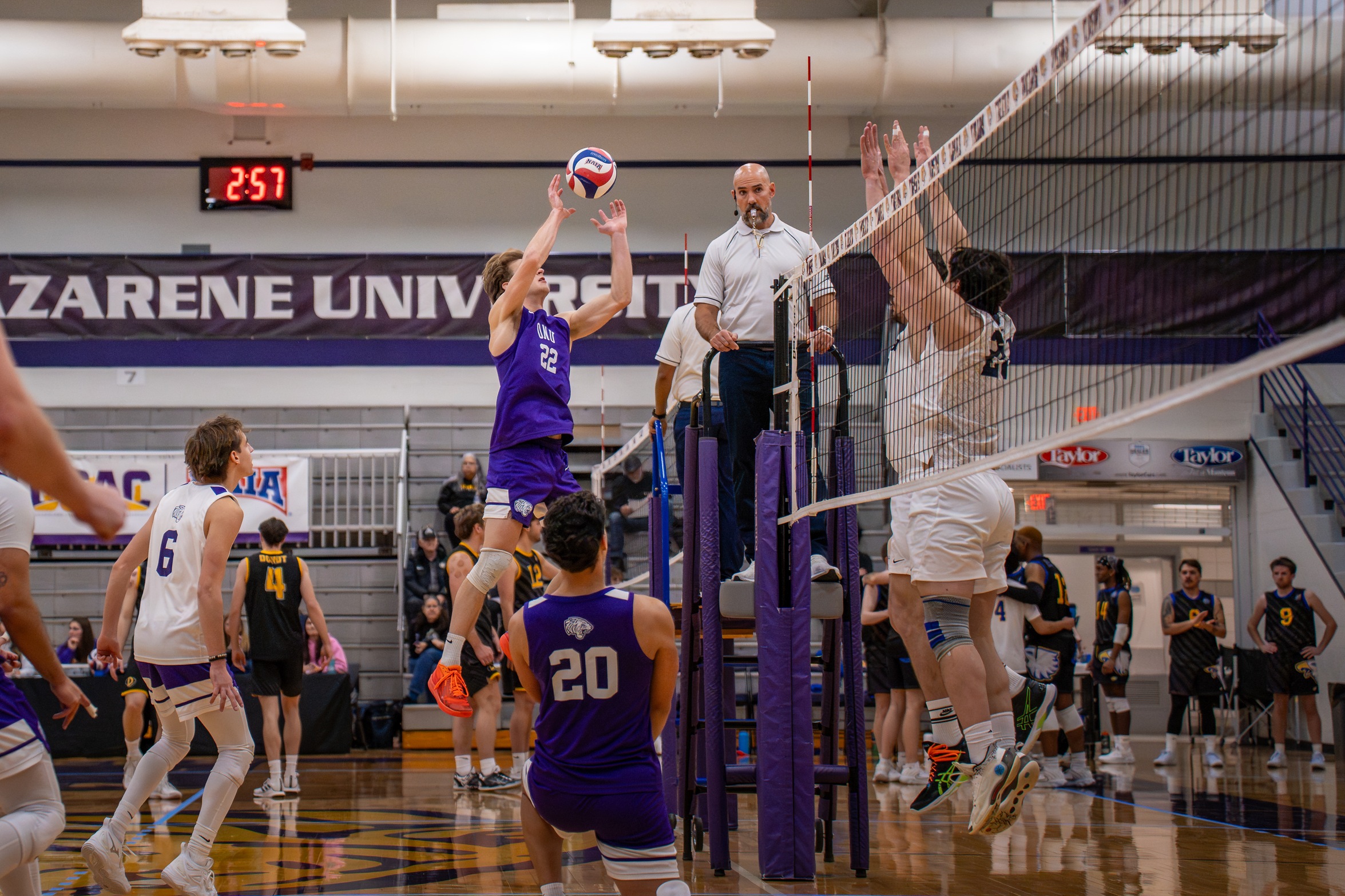 TIGERS' MEN'S VOLLEYBALL FALL TO THE COUGARS