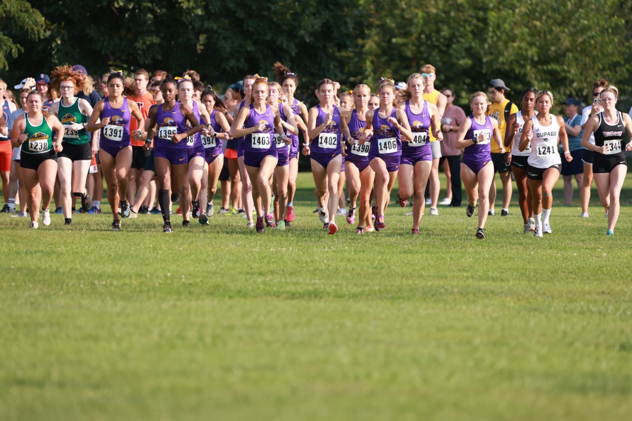 WHITE TABBED AS FRESHMAN OF THE YEAR AS TIGERS PLACE SECOND AT CCAC CHAMPIONSHIPS